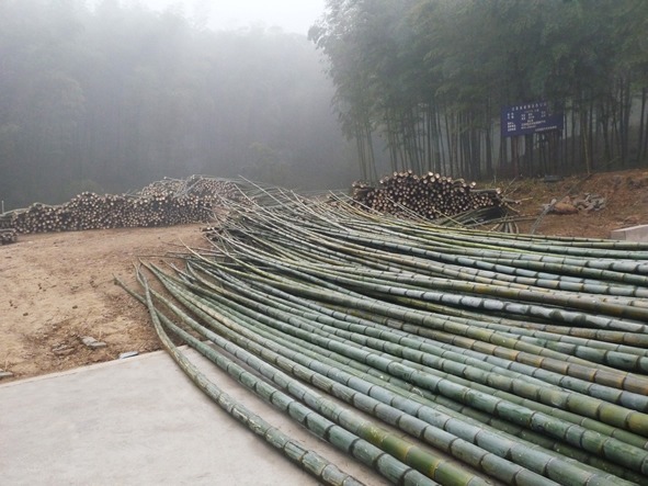 Floorbamboo"