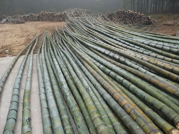 Floorbamboo"