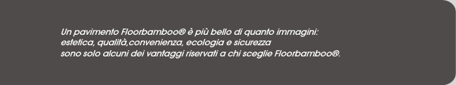 Floorbamboo pavimenti in Bamboo