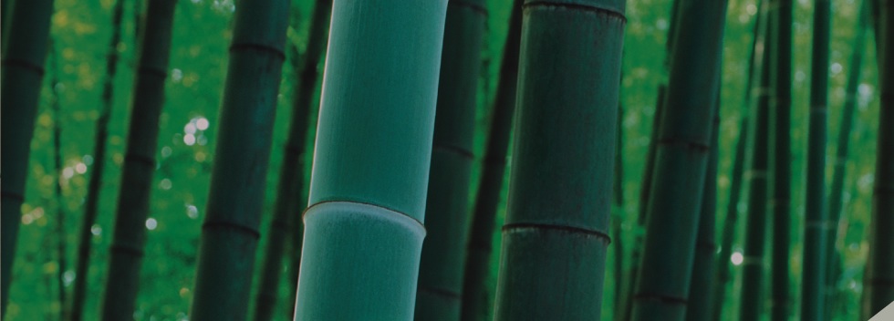 Floorbamboo - contatti